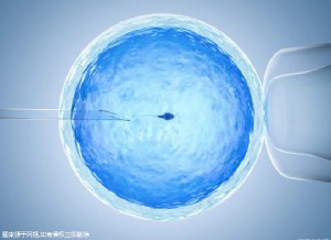 关于供卵代孕咨询公司